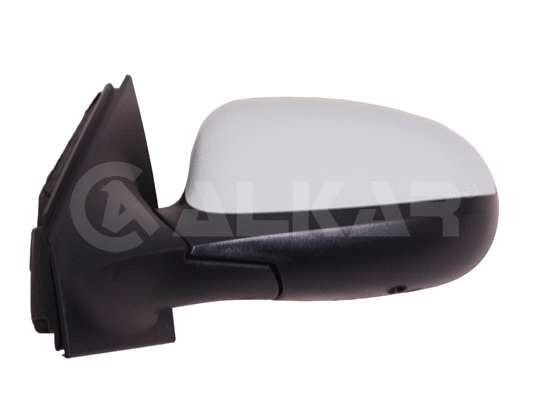 Exterior Mirror (6141936)