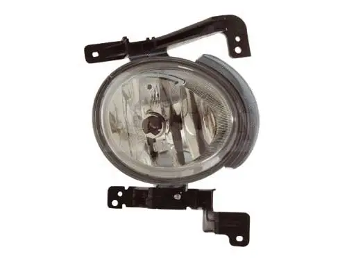 Front Fog Light (2902581)