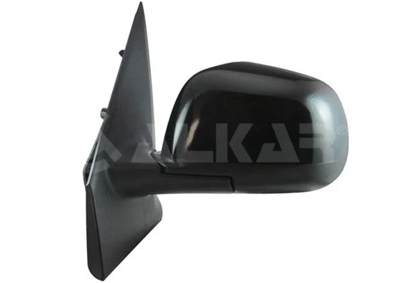Exterior Mirror (6164646)