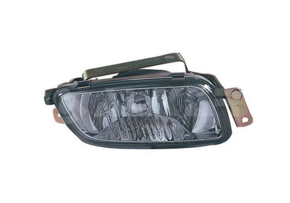 Front Fog Light (2902020)