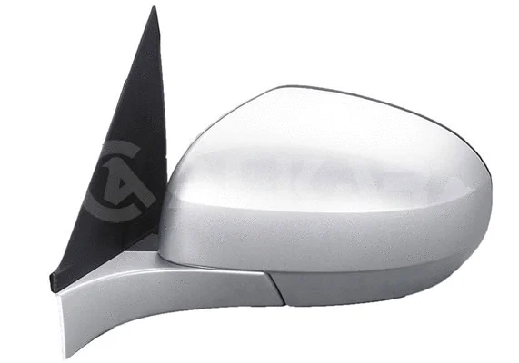 Exterior Mirror (6143926)