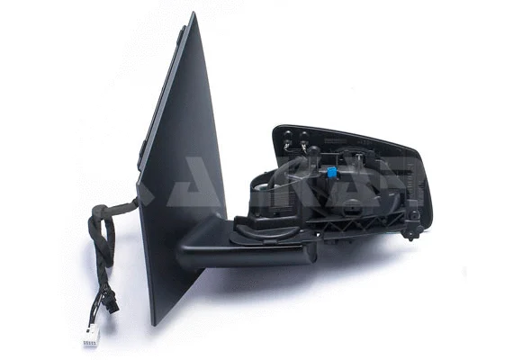 Exterior Mirror (6343719)