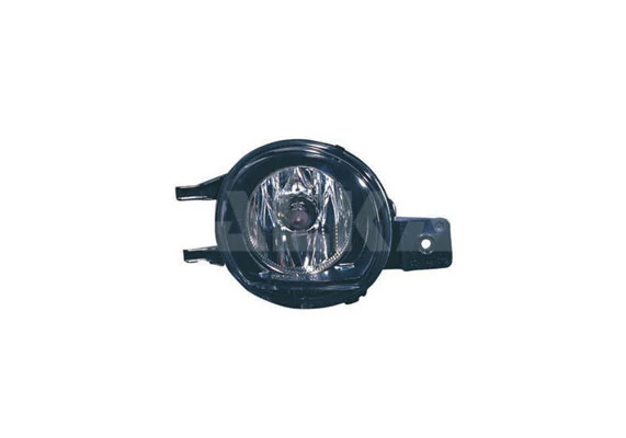 Front Fog Light (2902268)