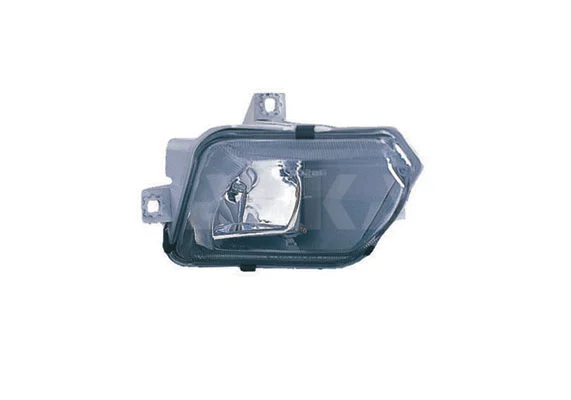 Front Fog Light (2902977)