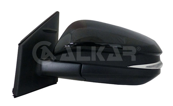 Exterior Mirror (9229919)