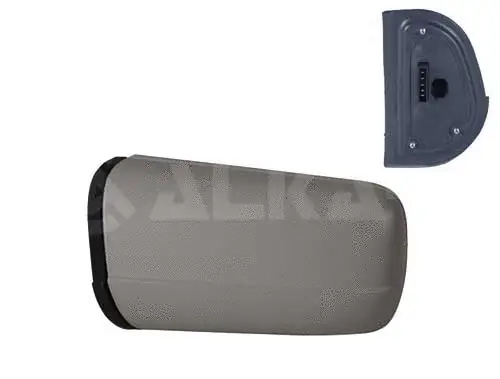 Exterior Mirror (6128540)