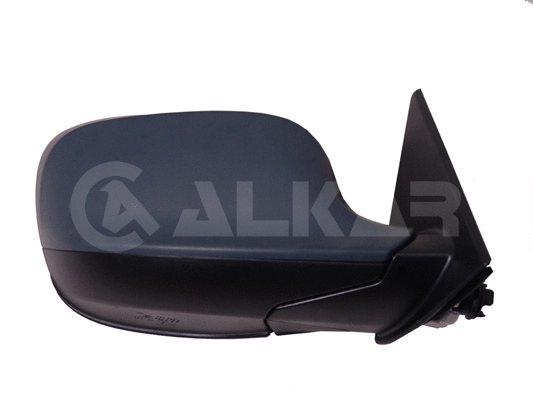 Exterior Mirror (9042885)