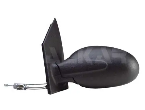 Exterior Mirror (6164010)
