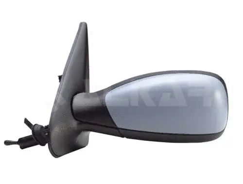 Exterior Mirror (6165282)