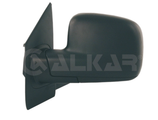 Exterior Mirror (9202985)