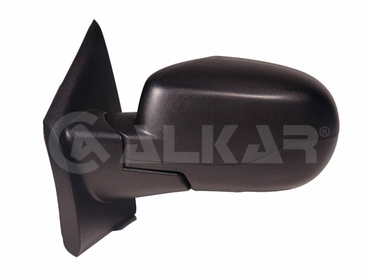 Exterior Mirror (6139177)