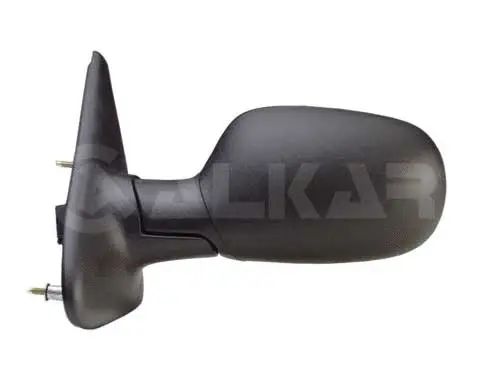 Exterior Mirror (6125219)