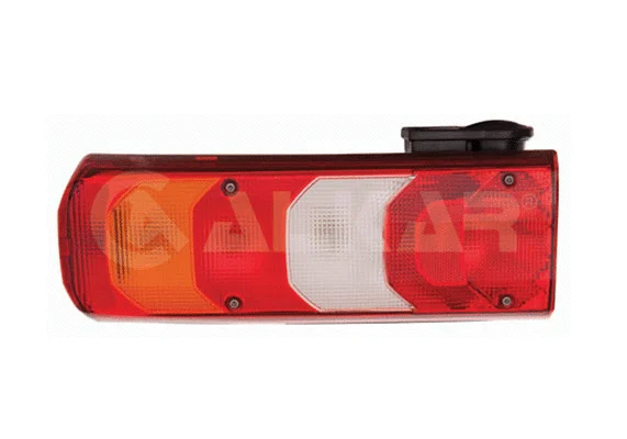 Tail Light Assembly (9705013)
