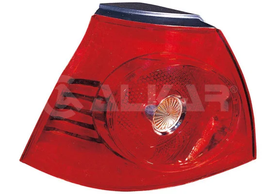 Tail Light Assembly (2211128)