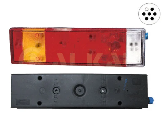 Tail Light Assembly (9701024)