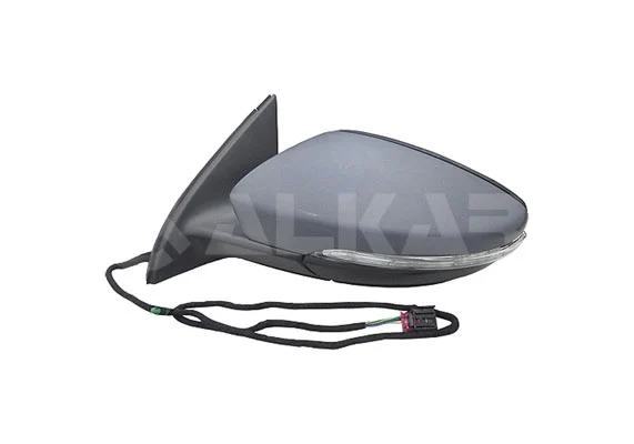 Exterior Mirror (6141163)