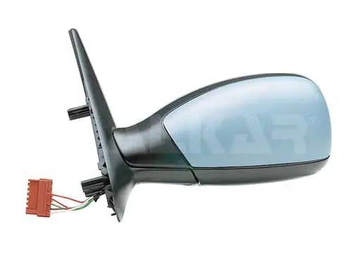 Exterior Mirror (6125282)