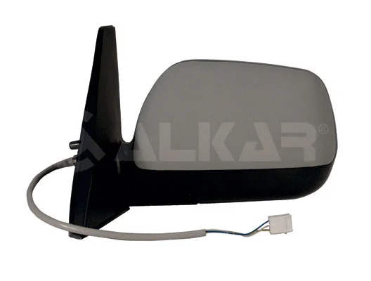 Exterior Mirror (9029993)