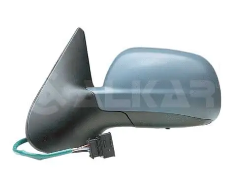 Exterior Mirror (6125109)
