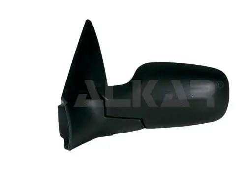 Exterior Mirror (6125228)