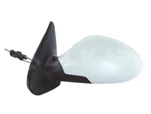 Exterior Mirror (6137097)
