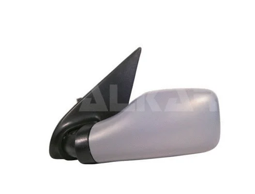 Exterior Mirror (6137286)