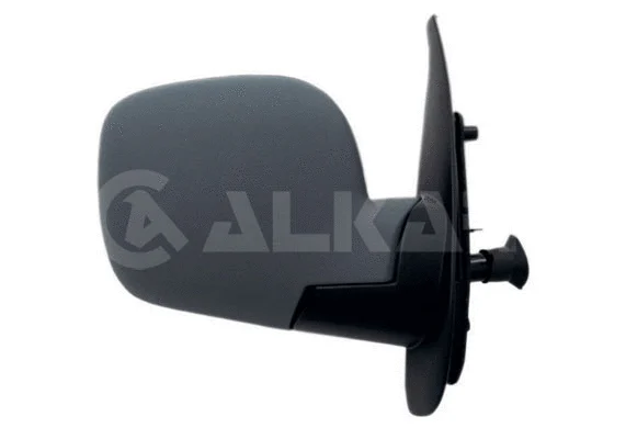 Exterior Mirror (9238160)