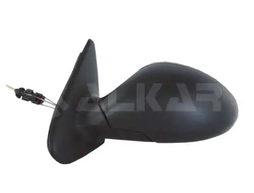 Exterior Mirror (6164097)