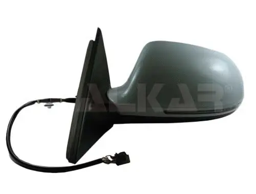 Exterior Mirror (6139795)