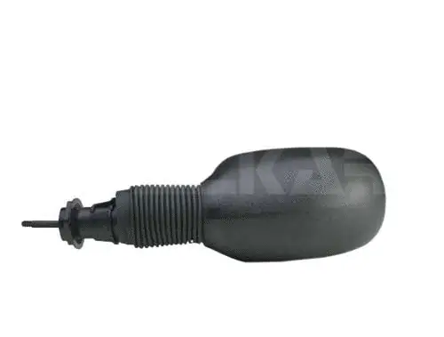 Exterior Mirror (6102382)