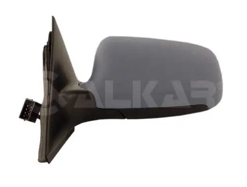 Exterior Mirror (6125797)