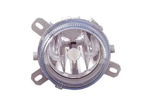 Front Fog Light (2903750)
