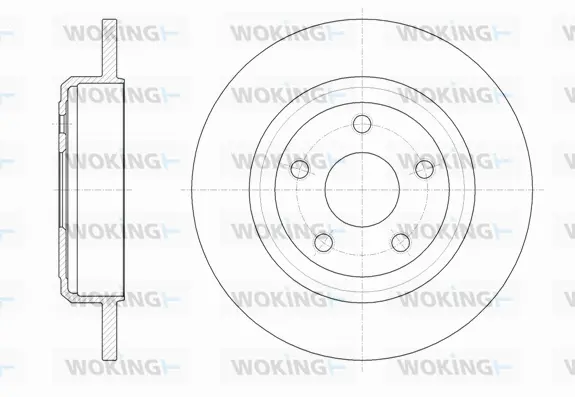 Brake Disc (D61669.00)