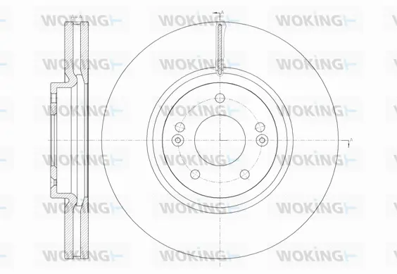 Brake Disc (D61462.10)