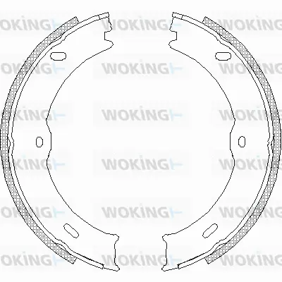 Brake Shoe, parking brake (Z4746.00)