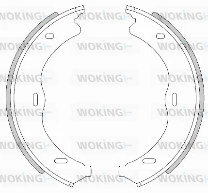 Brake Shoe, parking brake (Z4469.00)