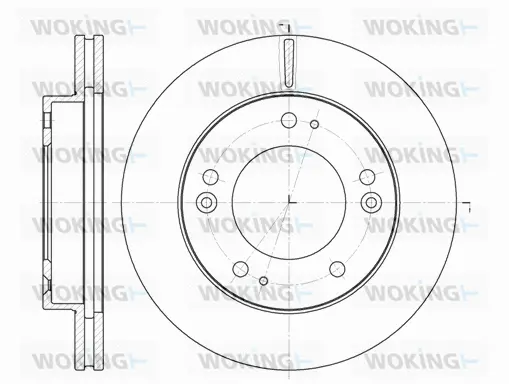 Brake Disc (D6790.10)