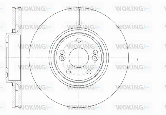 Brake Disc (D61171.10)