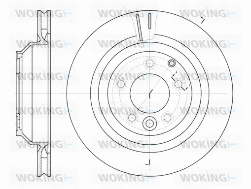 Brake Disc (D61302.10)