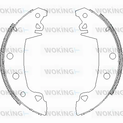 Brake Shoe (Z4017.07)
