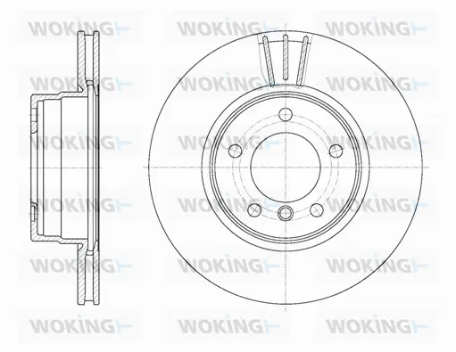 Brake Disc (D6653.10)