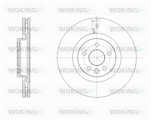 Brake Disc (D61786.10)