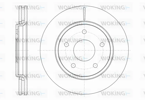 Brake Disc (D61724.10)