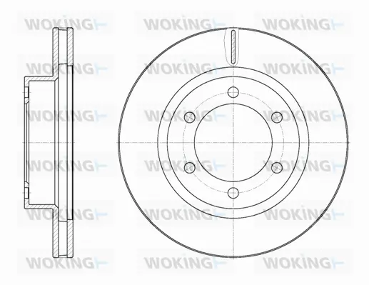 Brake Disc (D61952.10)