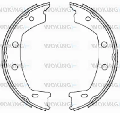 Brake Shoe, parking brake (Z4755.00)