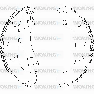Brake Shoe (Z4125.01)