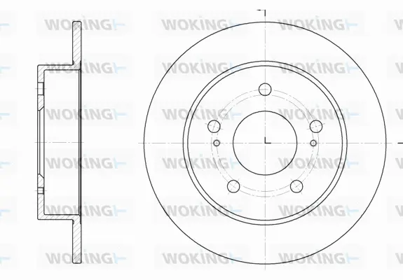 Brake Disc (D61979.00)