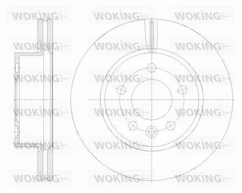 Brake Disc (D62117.10)