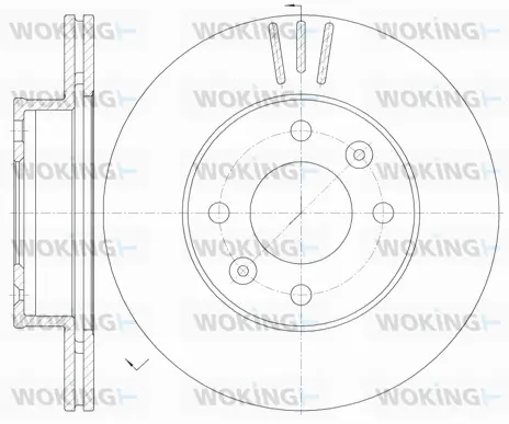 Brake Disc (D6990.10)