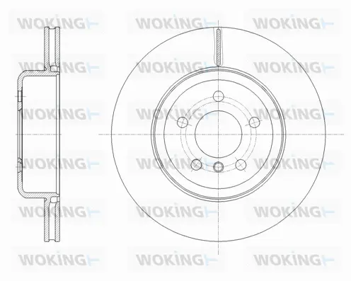 Brake Disc (D61652.10)
